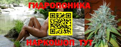 соль ск Кулебаки