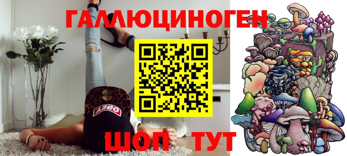 Галлюциногенные грибы прущие грибы  купить закладку  Вход с VPN  Хасавюрт  Галлюциногенные грибы GOLDEN TEACHER 